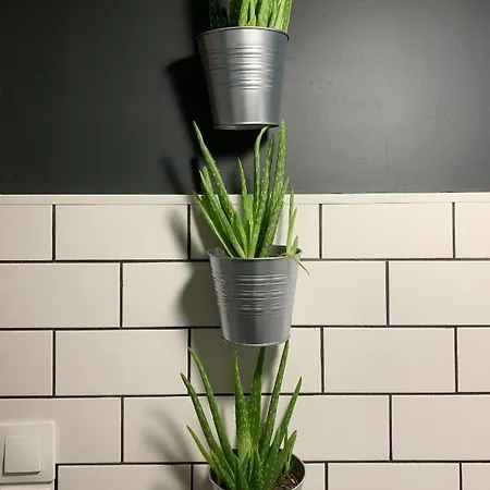 Apartamento Les De Charly Duplex Cosy Au Marché Hyper Centre à Pied