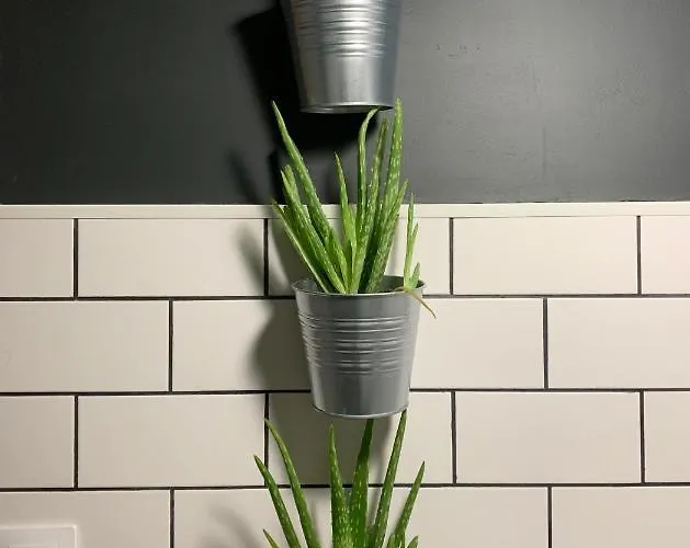 Appartement Les De Charly-le Duplex Du Marché
